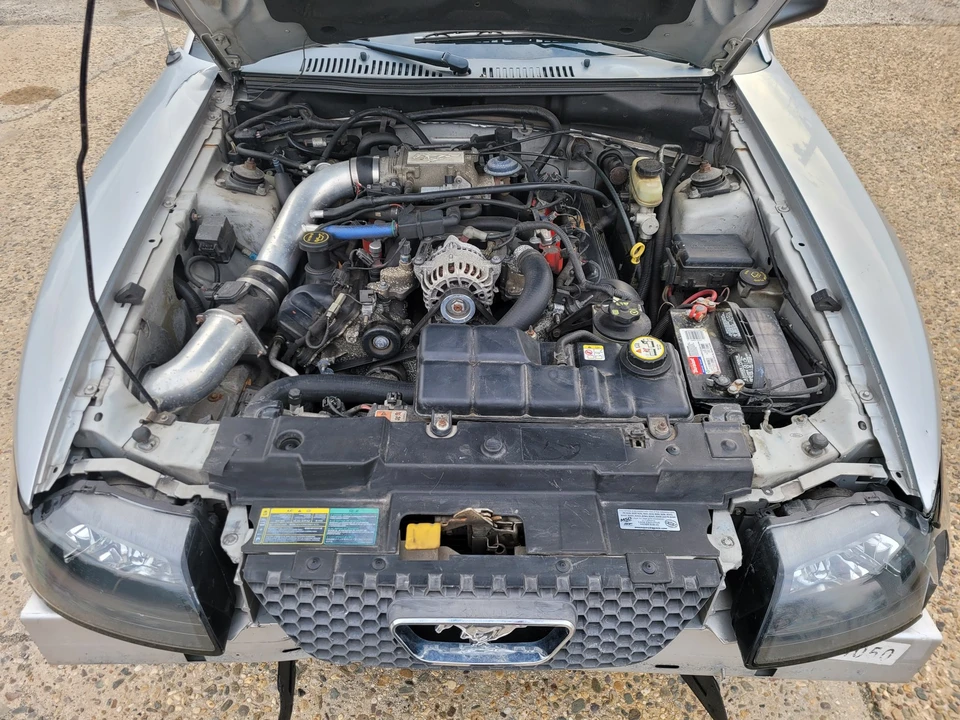2004 Ford SN95 Mustang - Image 10 of 31