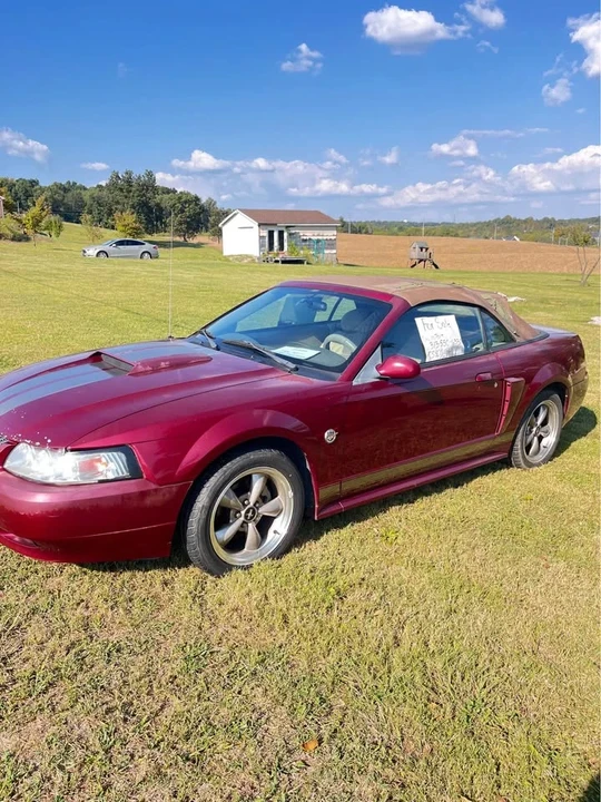 2004 Ford SN95 Mustang - Image 3 of 7