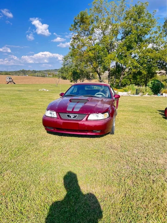 2004 Ford SN95 Mustang - Image 2 of 7