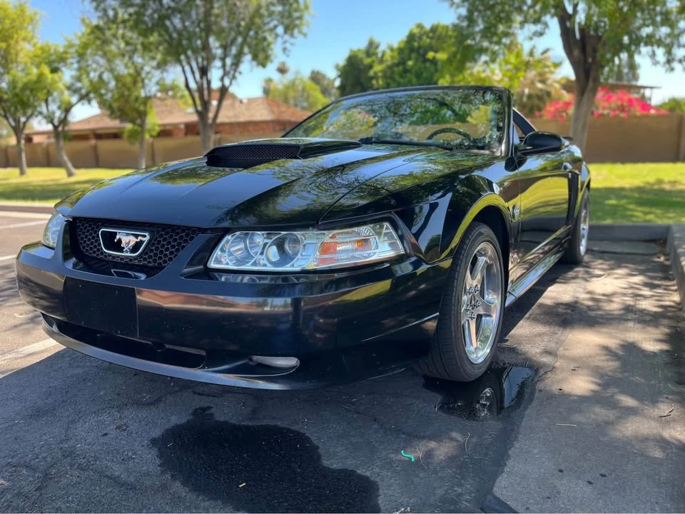 2004 Ford SN95 Mustang - Image 2 of 13