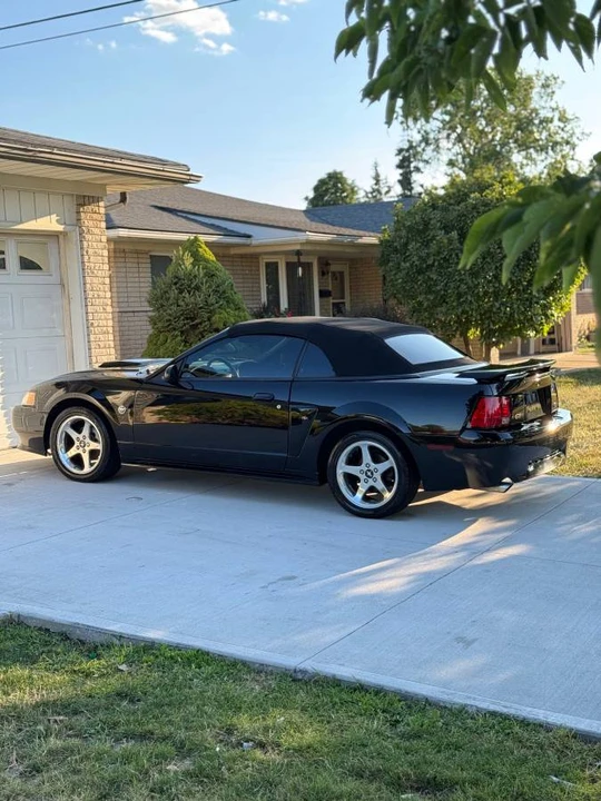 2004 Ford SN95 Mustang - Image 2 of 14