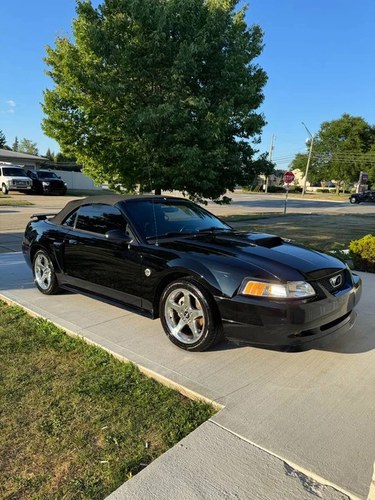 2004 Ford SN95 Mustang - Image 6 of 14