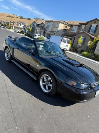 2004 Ford SN95 Mustang - Image 5 of 12