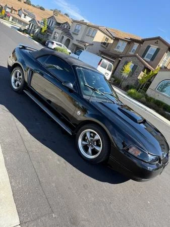 2004 Ford SN95 Mustang - Image 2 of 12