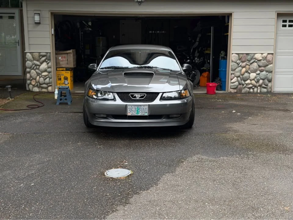 2004 Ford SN95 Mustang - Image 2 of 8