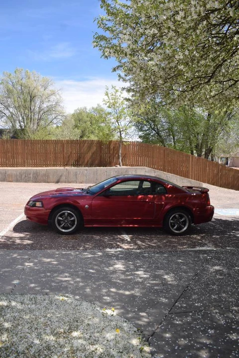 2004 Ford SN95 Mustang - Image 4 of 8