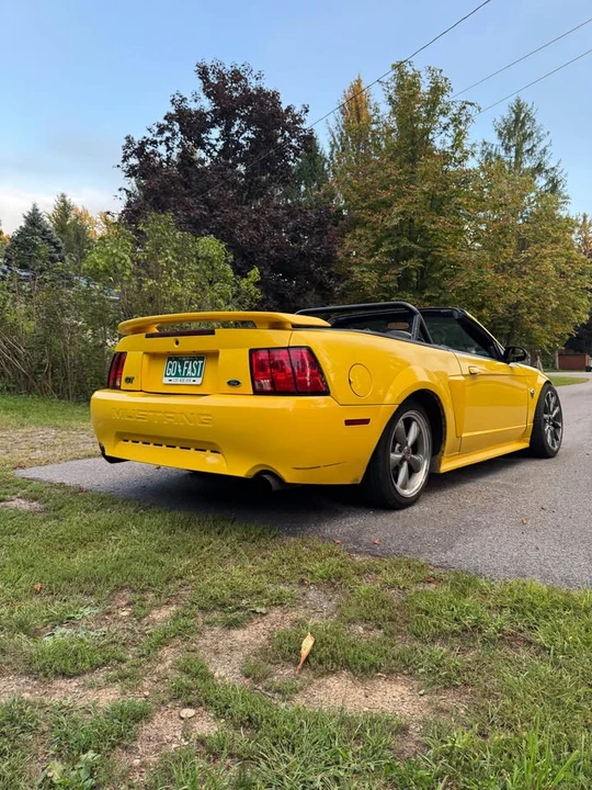 2004 Ford SN95 Mustang - Image 7 of 10