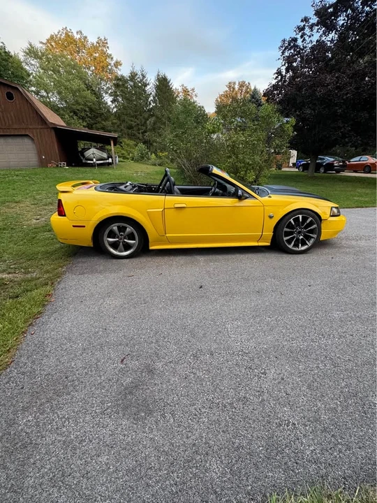 2004 Ford SN95 Mustang - Image 8 of 10