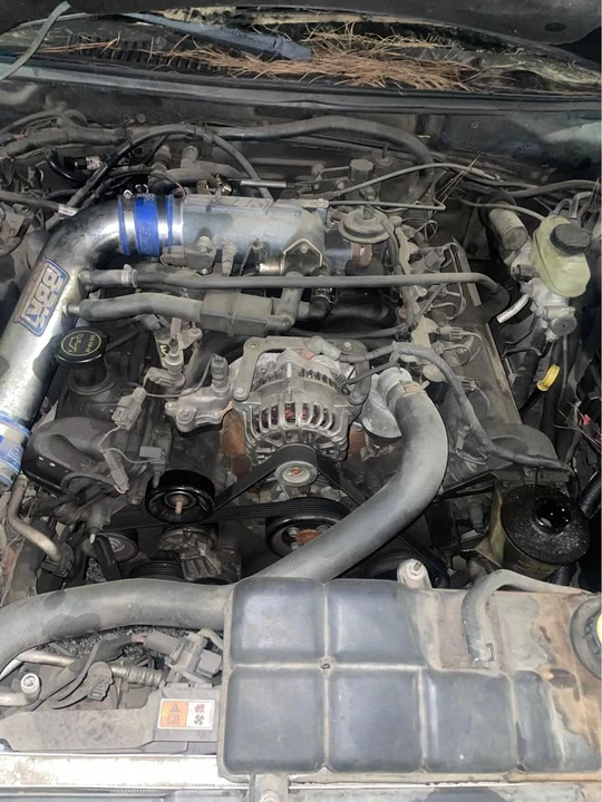 2004 Ford SN95 Mustang - Image 2 of 2