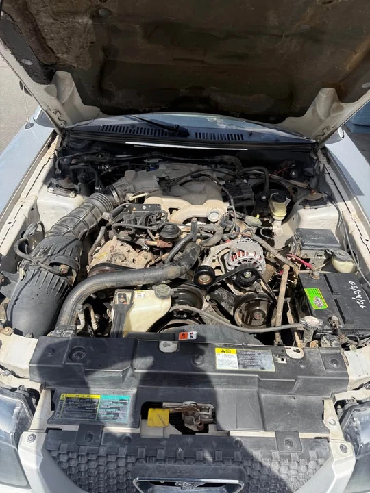 2004 Ford SN95 Mustang - Image 2 of 10