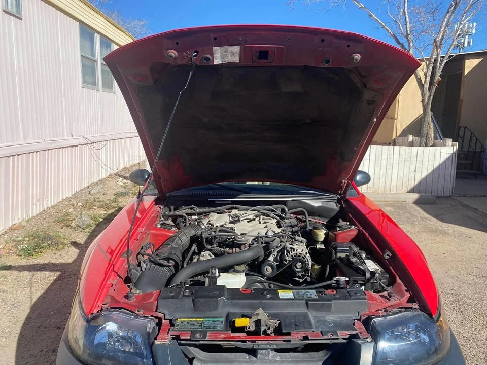 2004 Ford SN95 Mustang - Image 2 of 14