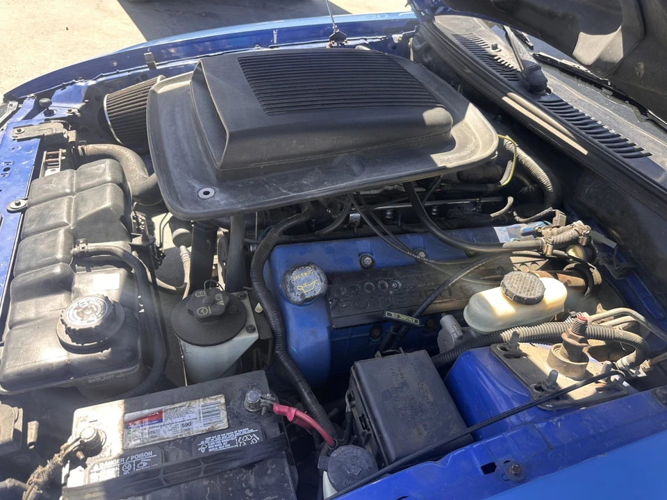2004 Ford SN95 Mustang - Image 18 of 29