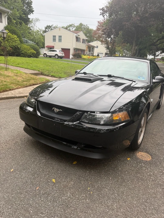 2004 Ford SN95 Mustang - Image 3 of 31