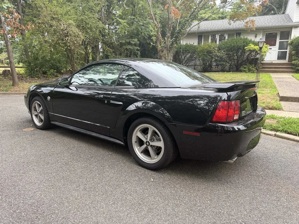 2004 Ford SN95 Mustang - Image 8 of 31