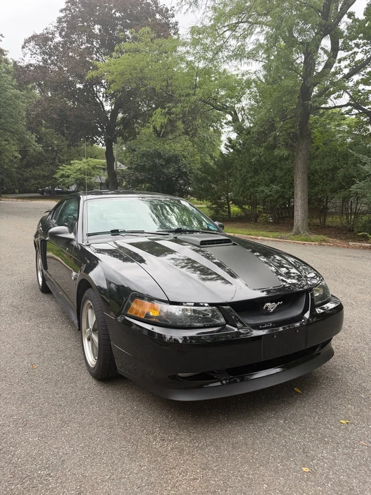 2004 Ford SN95 Mustang - Image 6 of 31