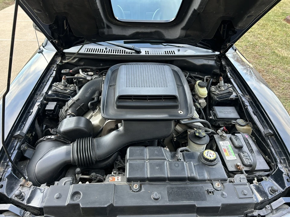 2004 Ford SN95 Mustang - Image 12 of 20