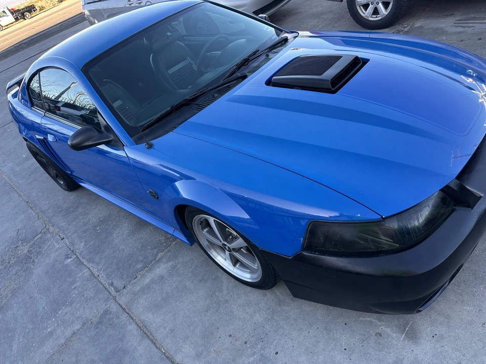 2004 Ford SN95 Mustang - Image 3 of 19