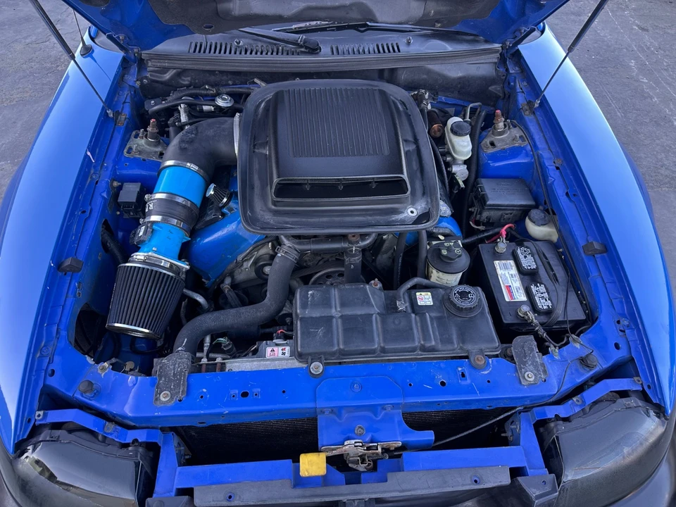 2004 Ford SN95 Mustang - Image 15 of 19