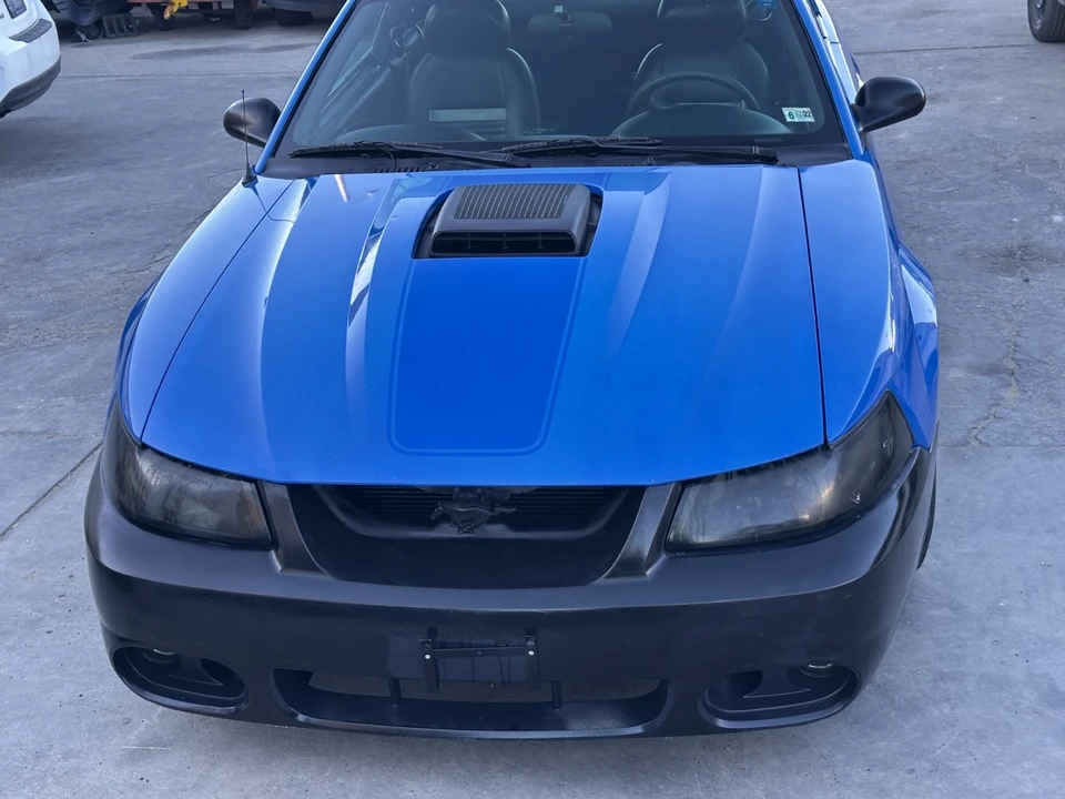 2004 Ford SN95 Mustang - Image 2 of 19