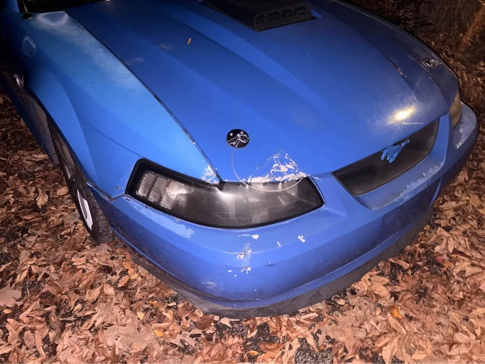 2004 Ford SN95 Mustang - Image 2 of 10