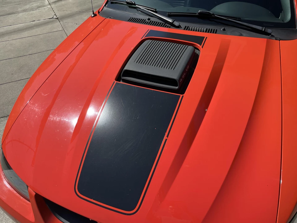 2004 Ford SN95 Mustang - Image 15 of 31