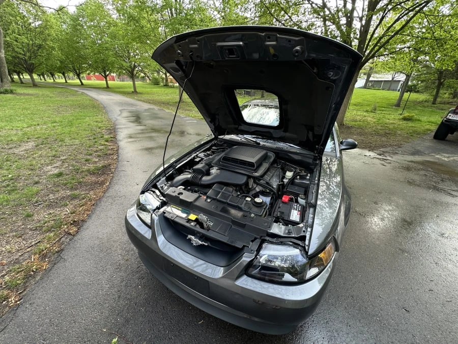 2004 Ford SN95 Mustang - Image 18 of 20
