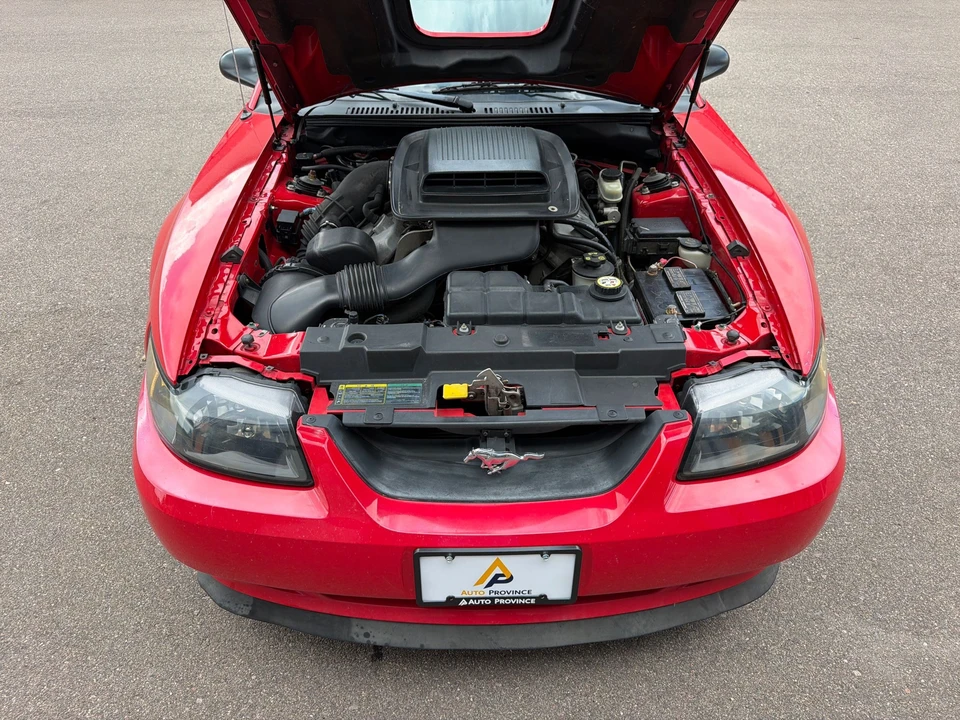 2004 Ford SN95 Mustang - Image 15 of 31