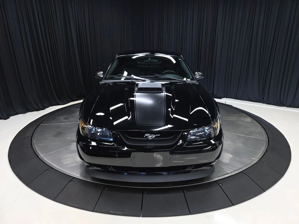 2004 Ford SN95 Mustang - Image 10 of 31