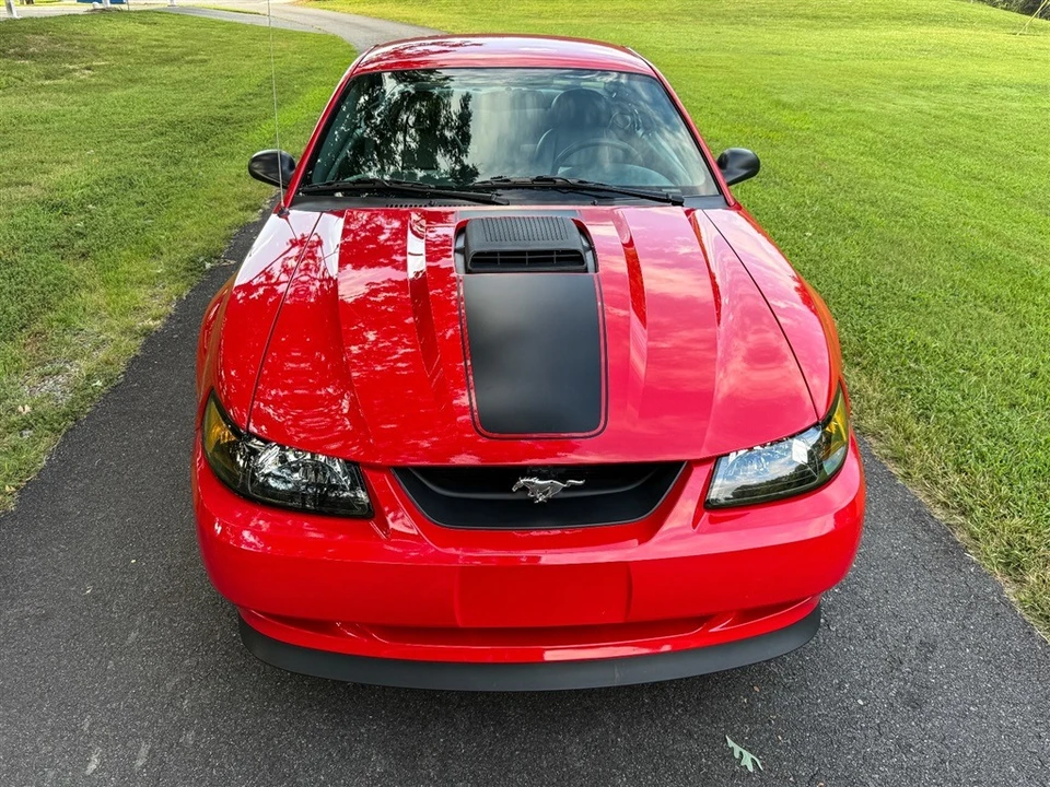 2004 Ford SN95 Mustang - Image 8 of 31