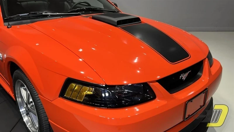 2004 Ford SN95 Mustang - Image 19 of 21