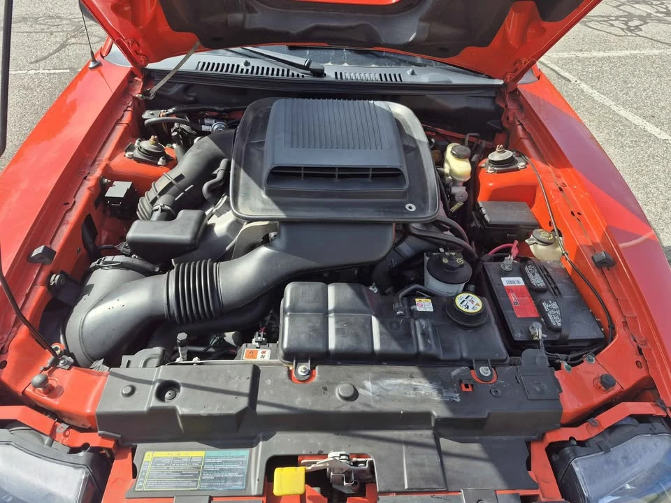 2004 Ford SN95 Mustang - Image 5 of 9