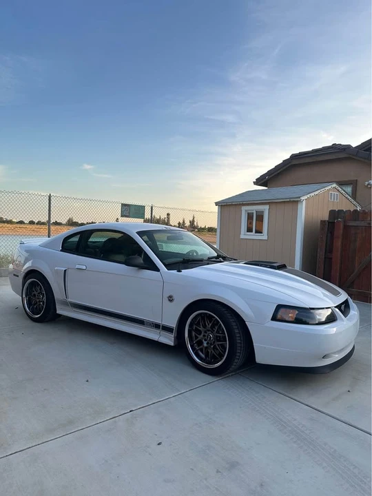 2004 Ford SN95 Mustang - Image 5 of 10