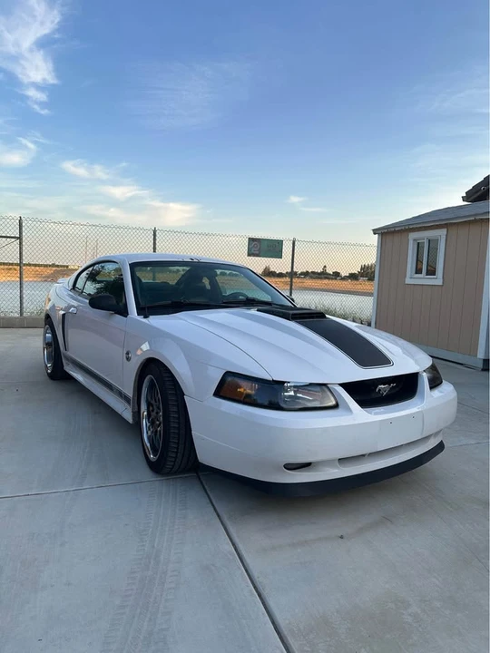 2004 Ford SN95 Mustang - Image 3 of 10