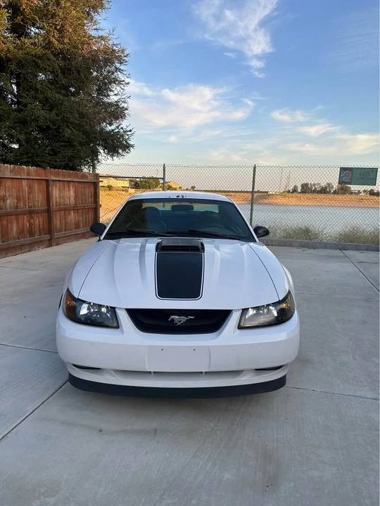 2004 Ford SN95 Mustang - Image 2 of 10