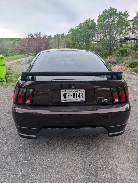 2004 Ford SN95 Mustang - Image 4 of 8