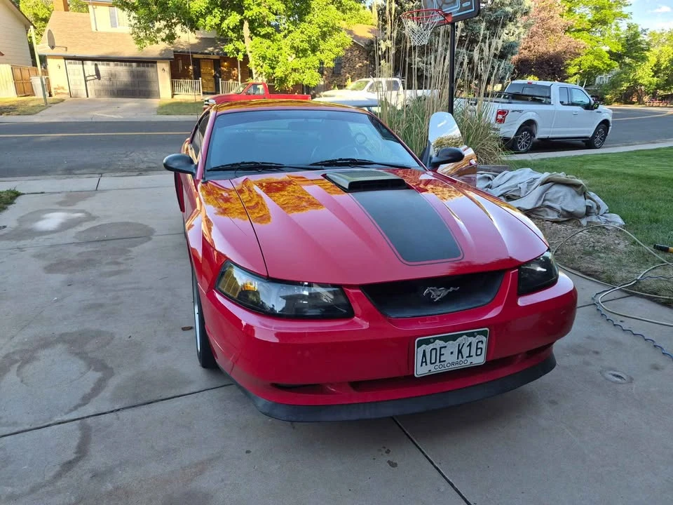2004 Ford SN95 Mustang - Image 2 of 16