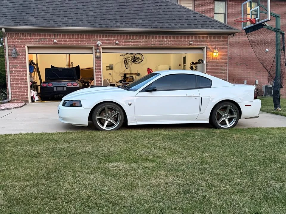 2004 Ford SN95 Mustang - Image 2 of 6