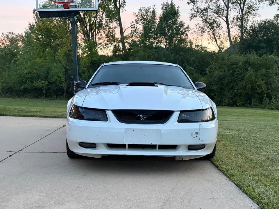 2004 Ford SN95 Mustang - Image 4 of 6