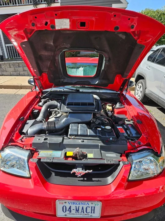 2004 Ford SN95 Mustang - Image 11 of 12