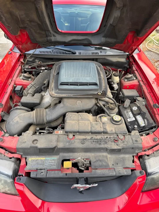 2004 Ford SN95 Mustang - Image 12 of 16