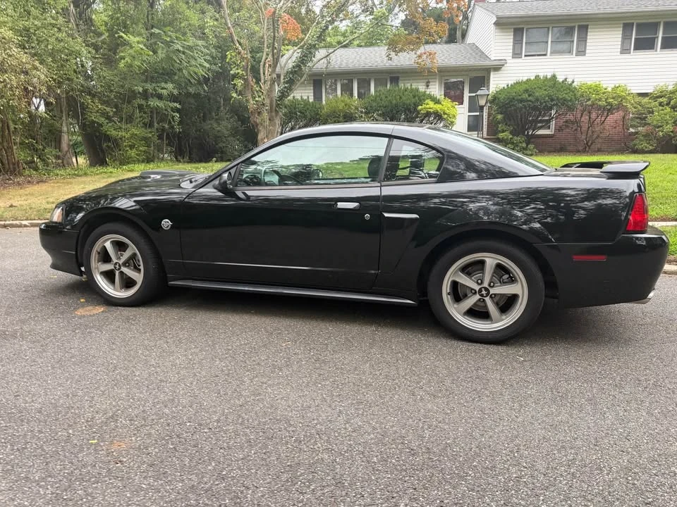 2004 Ford SN95 Mustang - Image 6 of 20