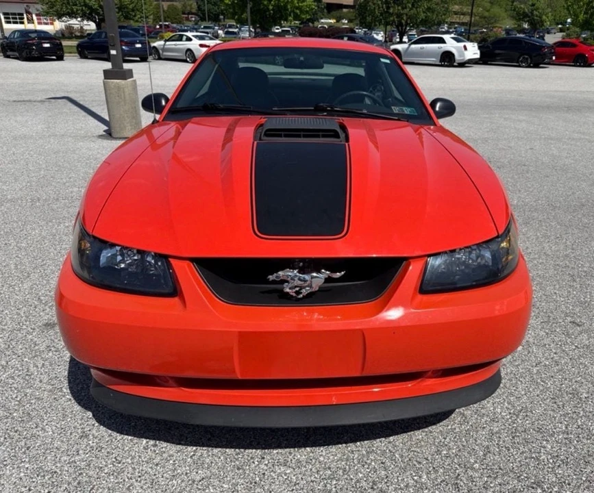 2004 Ford SN95 Mustang - Image 8 of 10