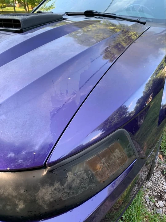 2004 Ford SN95 Mustang - Image 10 of 11