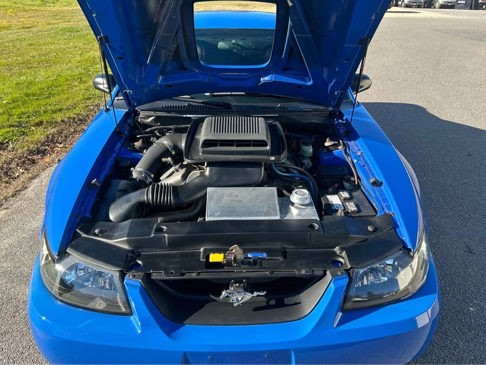 2004 Ford SN95 Mustang - Image 11 of 12