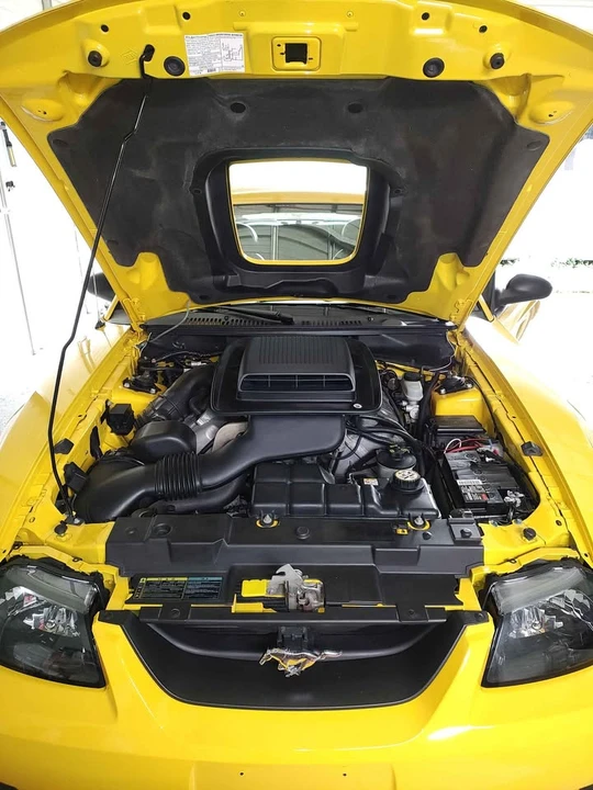 2004 Ford SN95 Mustang - Image 7 of 9