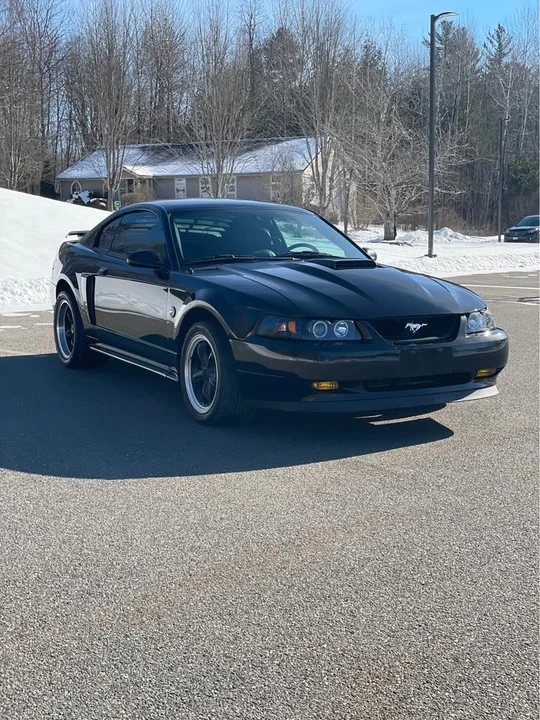 2004 Ford SN95 Mustang - Image 2 of 19