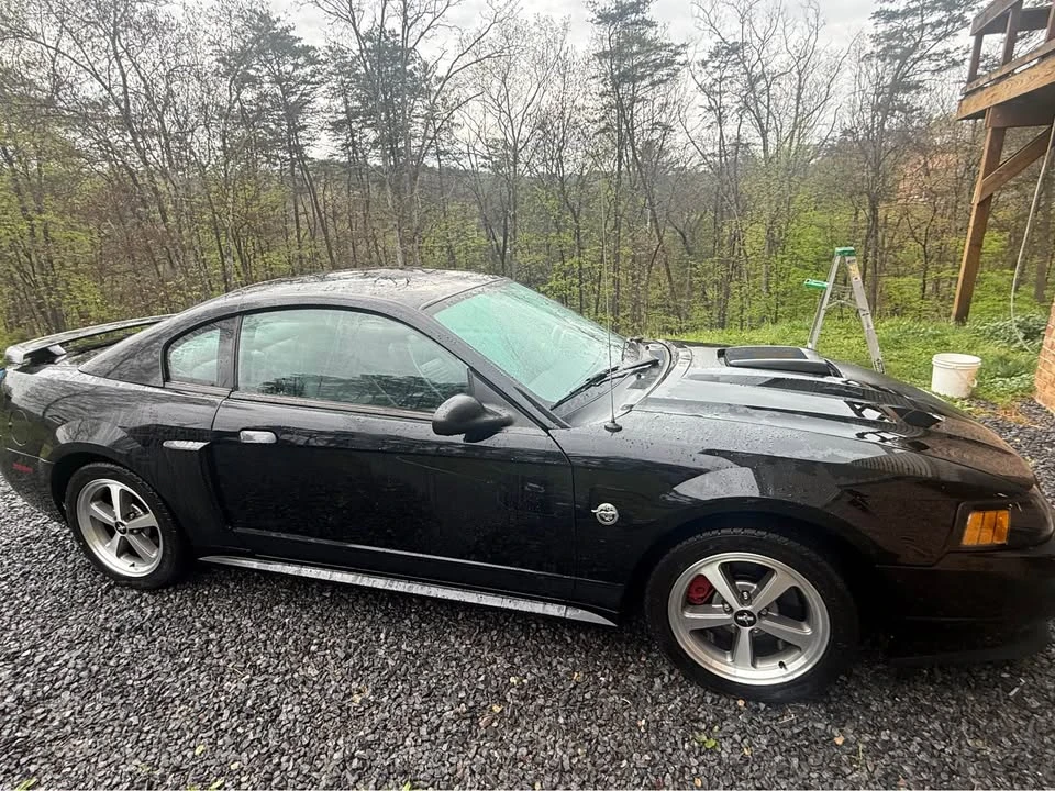 2004 Ford SN95 Mustang - Image 2 of 5