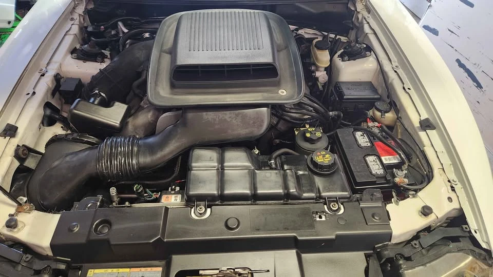 2004 Ford SN95 Mustang - Image 10 of 10