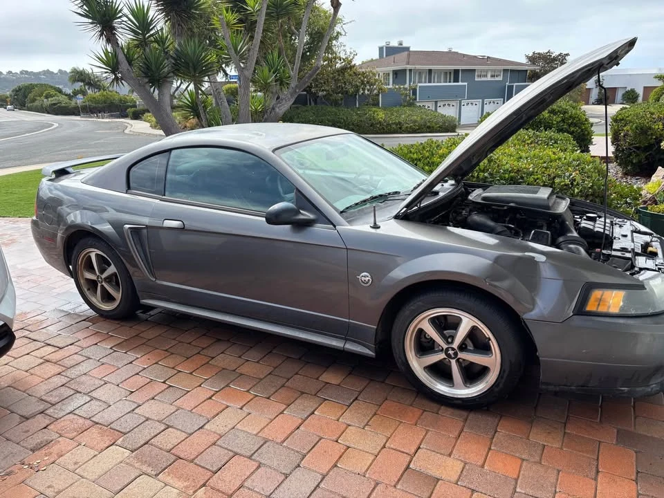 2004 Ford SN95 Mustang - Image 3 of 10