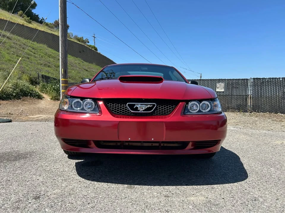 2004 Ford SN95 Mustang - Image 6 of 9